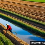 Home 20 밀과 빵의 역사적 관계 - A detailed scene of traditional wheat farming in the Anatolian countryside: a rustic small farm with...