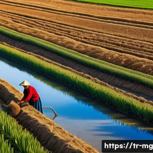 Home 32 밀과 빵의 역사적 관계 - A detailed scene of traditional wheat farming in the Anatolian countryside: a rustic small farm with...
