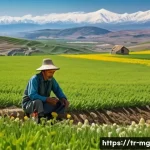 Home 18 각국의 전통 농업 역사와 음식 - A serene Anatolian high plateau landscape during early spring, showcasing traditional farmers in mod...