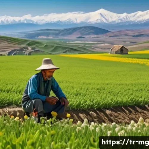 Home 30 각국의 전통 농업 역사와 음식 - A serene Anatolian high plateau landscape during early spring, showcasing traditional farmers in mod...