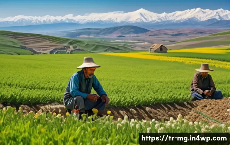 각국의 전통 농업 역사와 음식 - A serene Anatolian high plateau landscape during early spring, showcasing traditional farmers in mod...